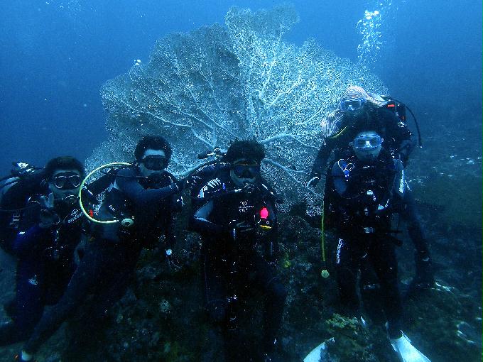 Fun Diving - 필리핀 민도르 사방 - Verde Island