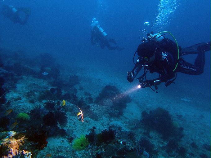 Fun Diving - 필리핀 민도르 사방 - Monkey Beach