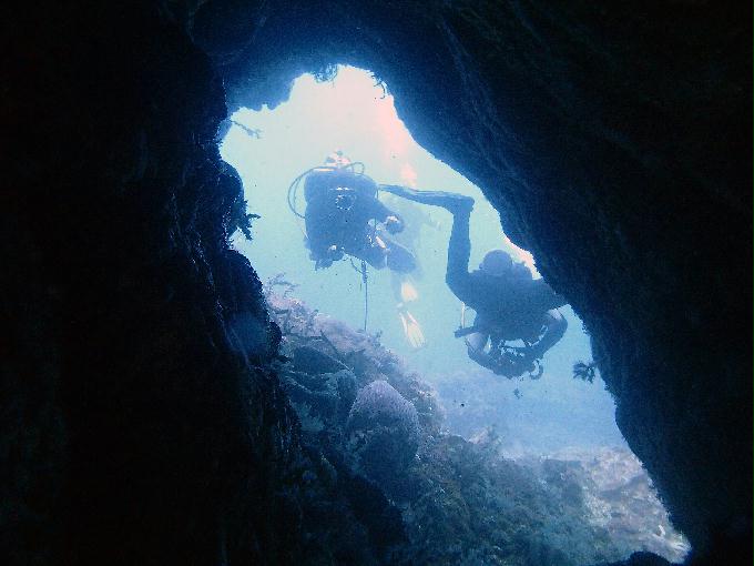 Fun Diving - 필리핀 민드르 사방 - Canyon