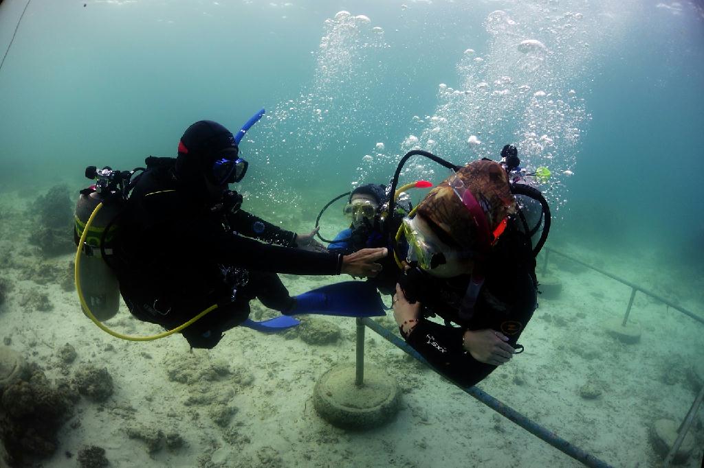 오픈워터 해양실습 2회차 - 필리핀 세부 - 오션플레이어 하우스리플