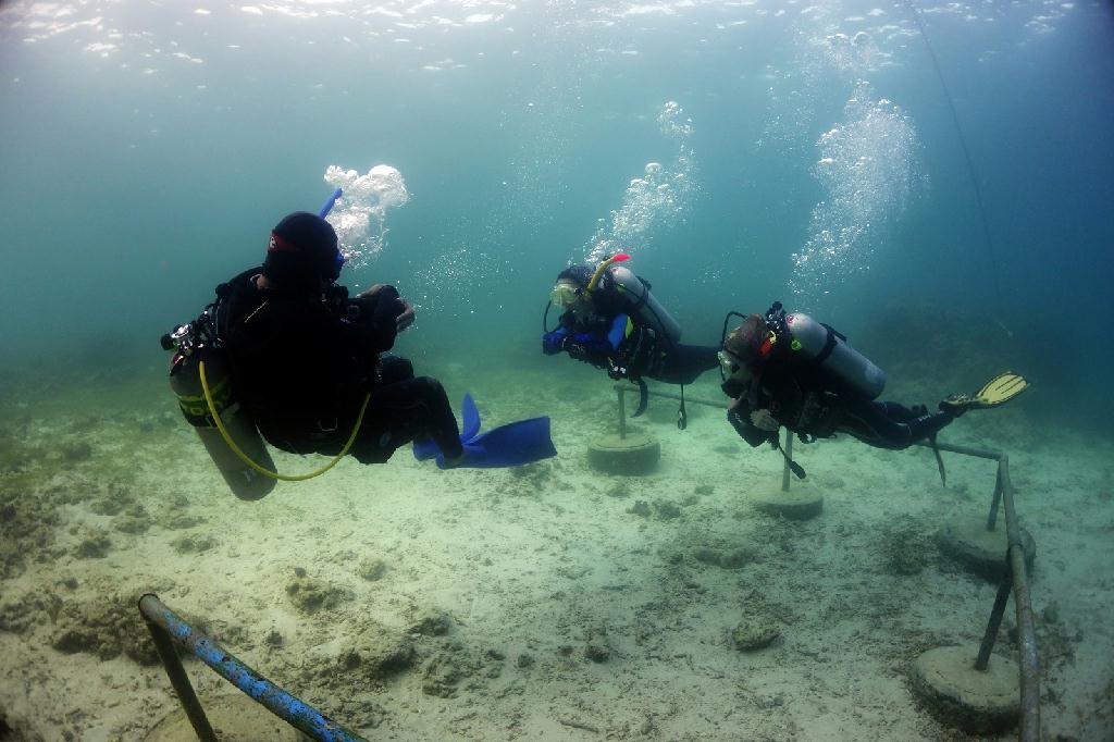오픈워터 해양실습 2회차 - 필리핀 세부 - 오션플레이어 하우스리플