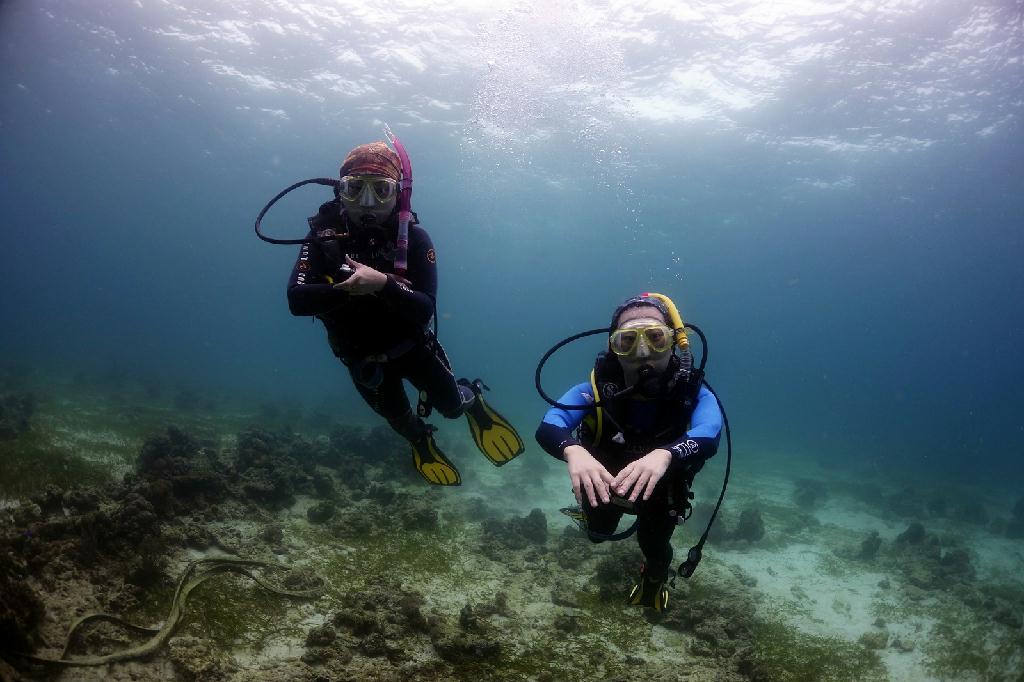 오픈워터 해양실습 2회차 - 필리핀 세부 - 오션플레이어 하우스리플