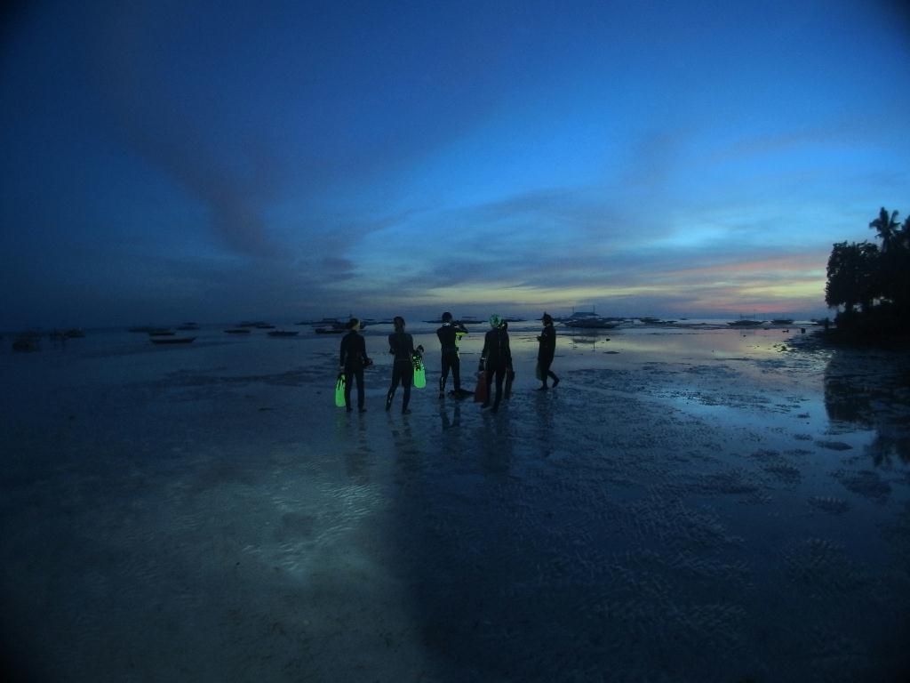 펀다이빙(야간다이빙) - 보홀디퍼다이브리조트 - 팡글라오 앞 리프지역 포인트(야간다이빙)
