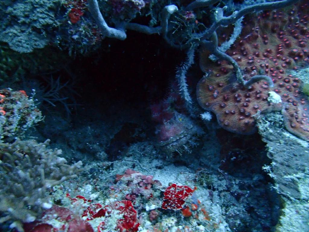 조류 거슬러 240도 - Boracy  - Yapak