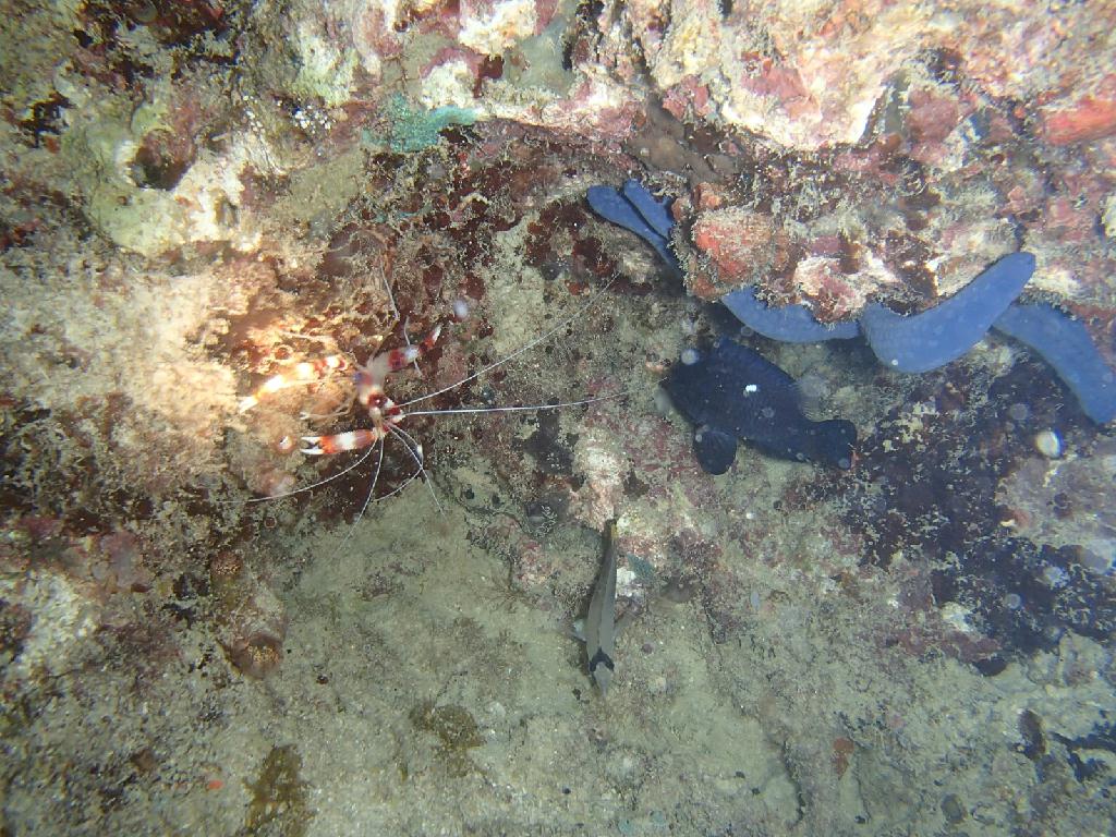 야따 파티하우스앞 300도 270 240 - boracay - beach