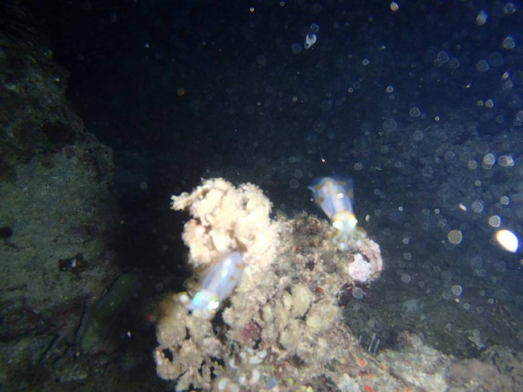 야따 파티하우스앞 300도 270 240 - boracay - beach