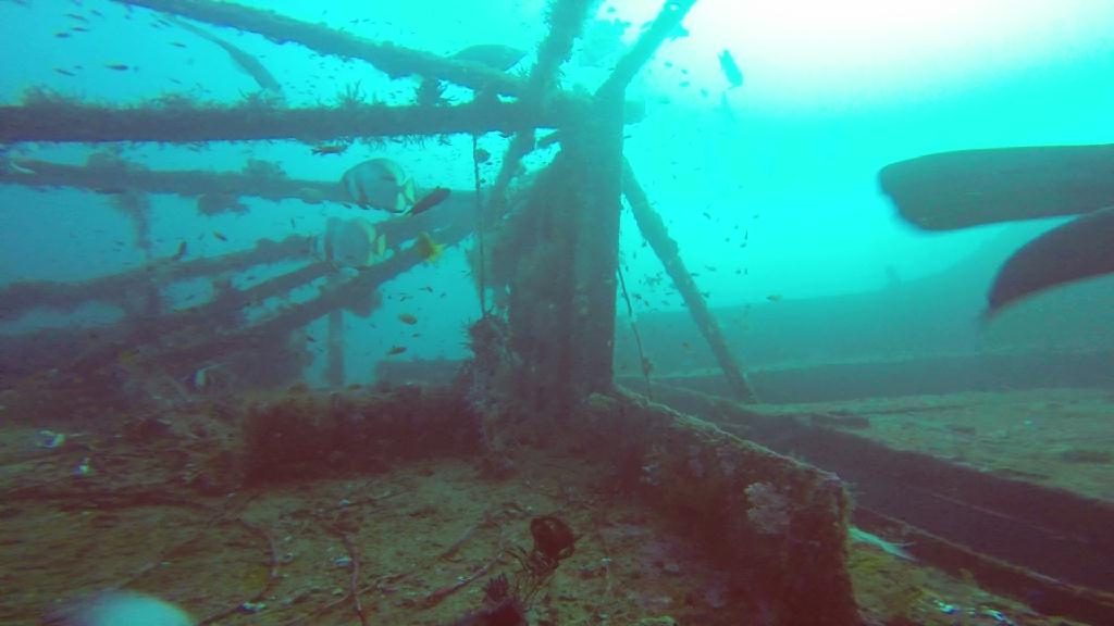 Puerto Galera,Mindoro Island - Alma Jane Wreck 