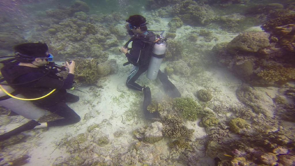 Mactan,Lapu-Lapu City,Cebu