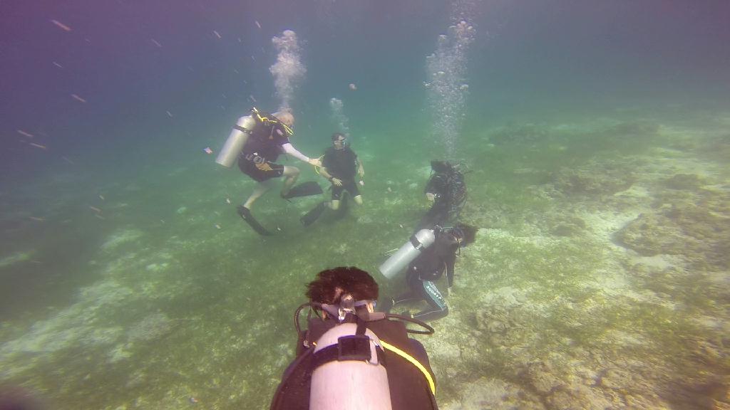 Mactan,Lapu-Lapu City,Cebu