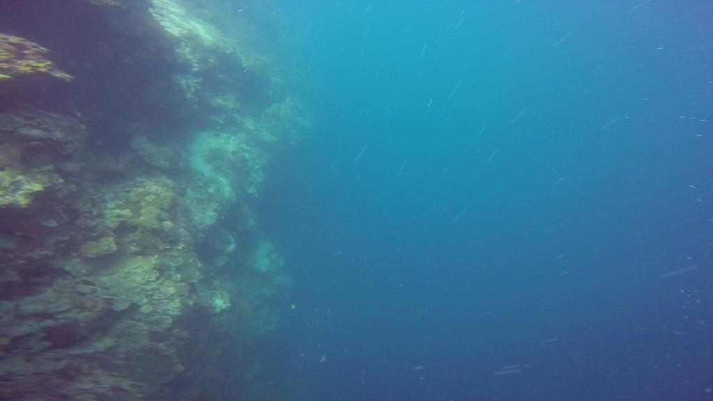 Mactan,Lapu-Lapu City,Cebu - The Kontiki Reef