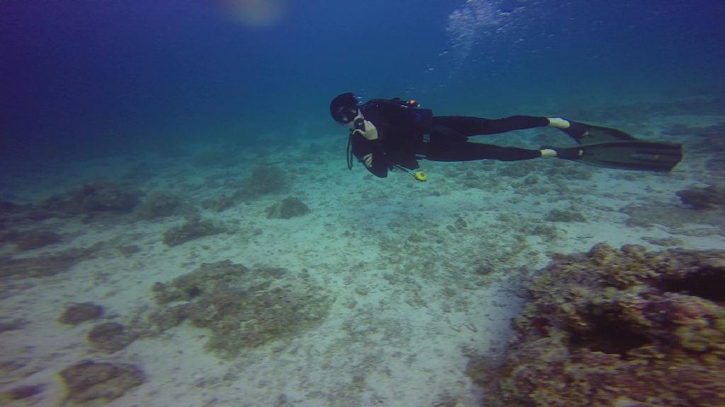 Mactan,Lapu-Lapu City,Cebu - Olango Island