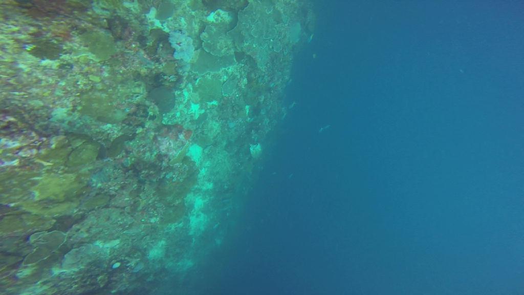 Mactan,Lapu-Lapu City,Cebu - Boyala Dive Resort 