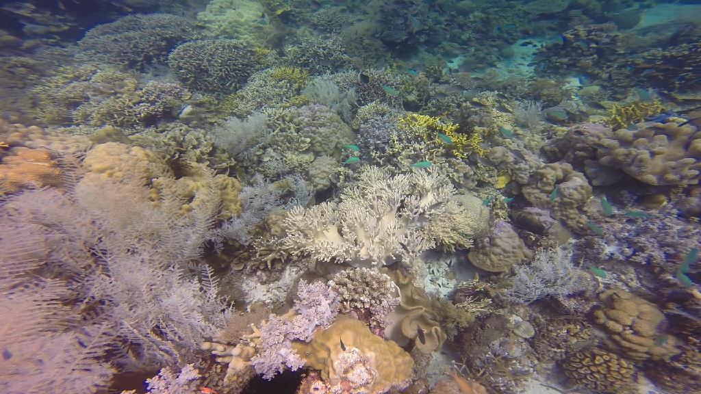 Bohol - Cabilao