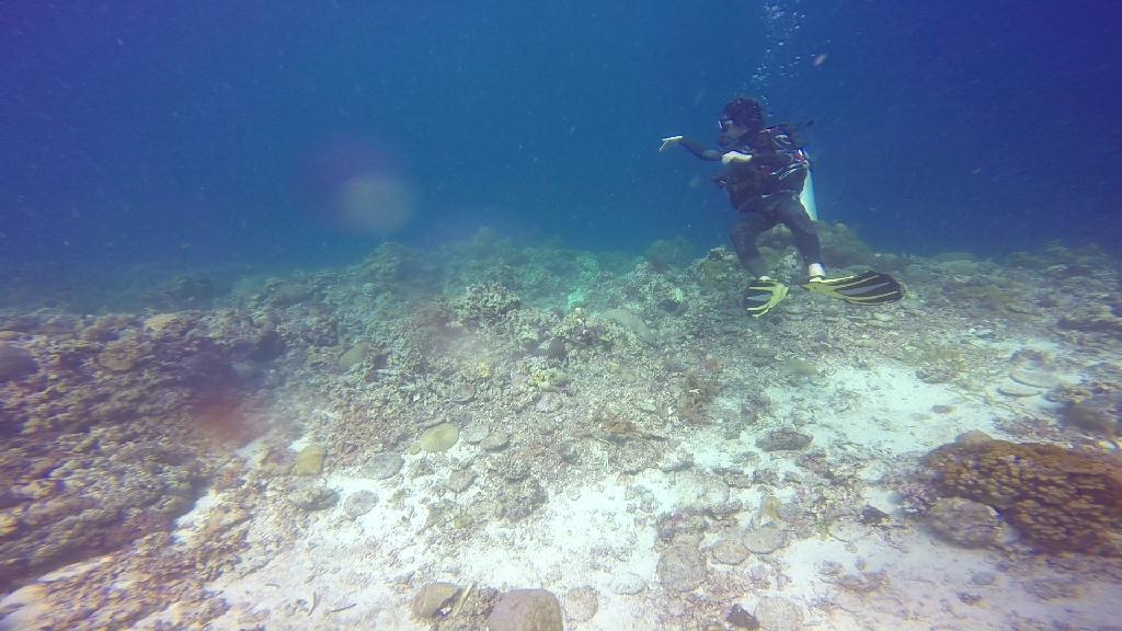 Mactan,Lapu-Lapu City,Cebu - The Kontiki Reef
