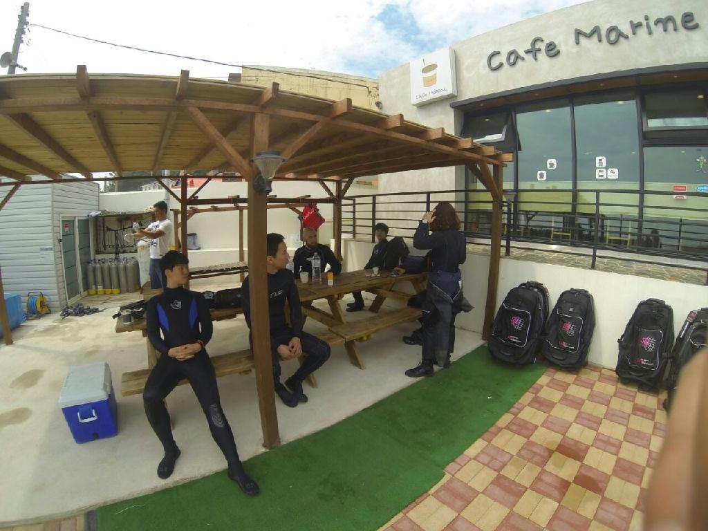 기본적인 스킬 - 포항 월포 다이브 11 - 다이브 11  비치