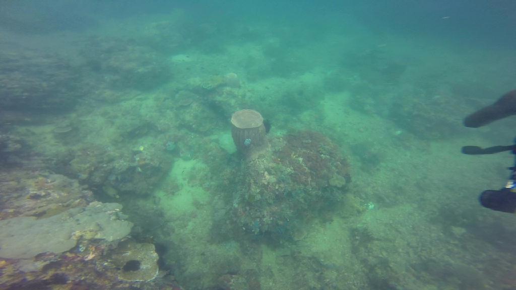 mindoro - beside canyons