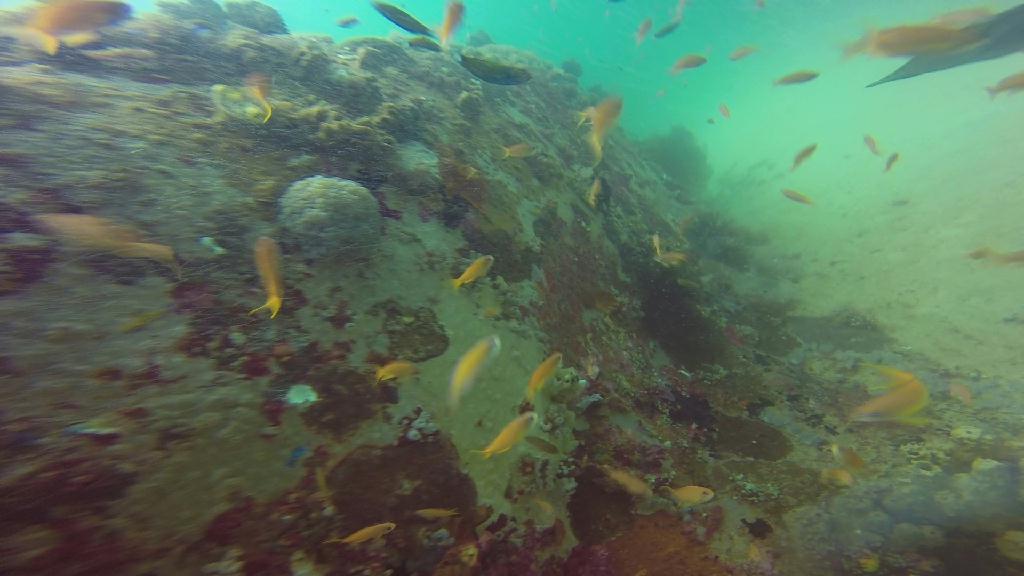 mindoro - sabang wrek