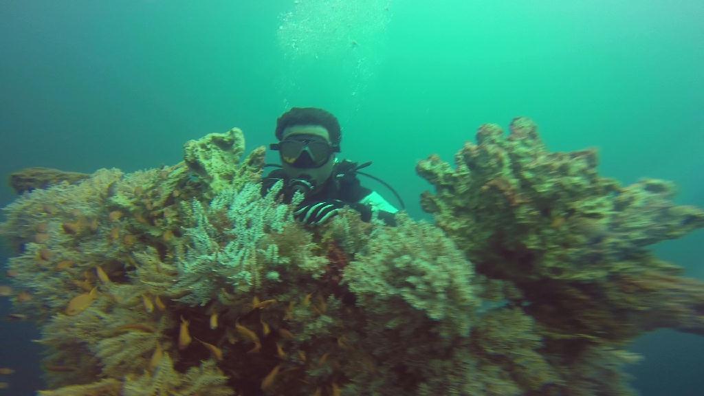 mindoro - alma jane