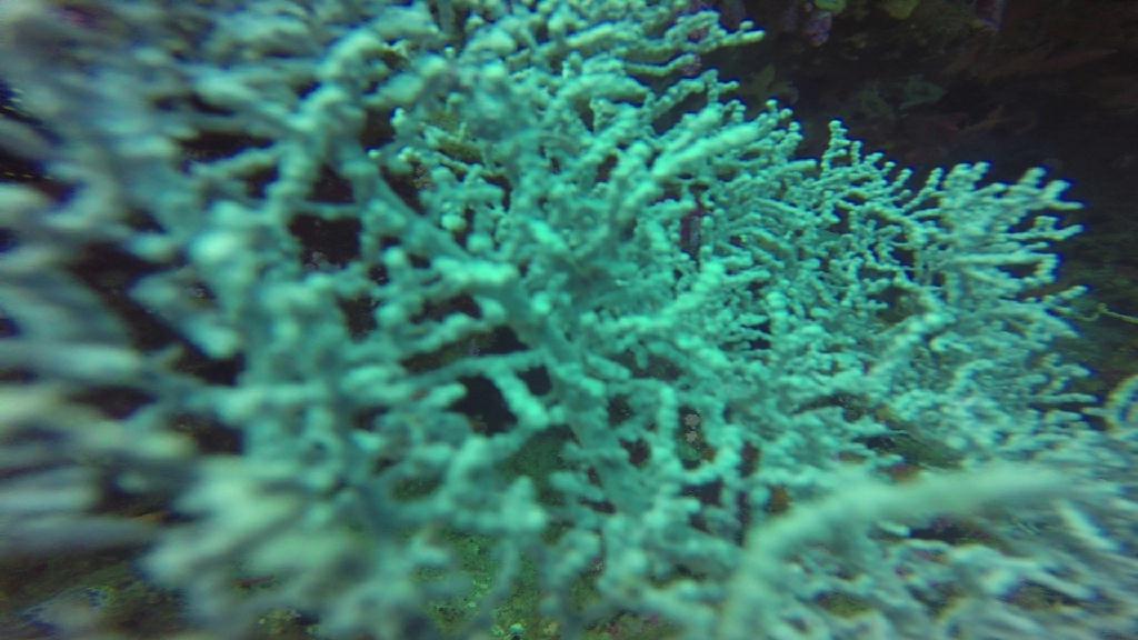 mindoro - beside canyons