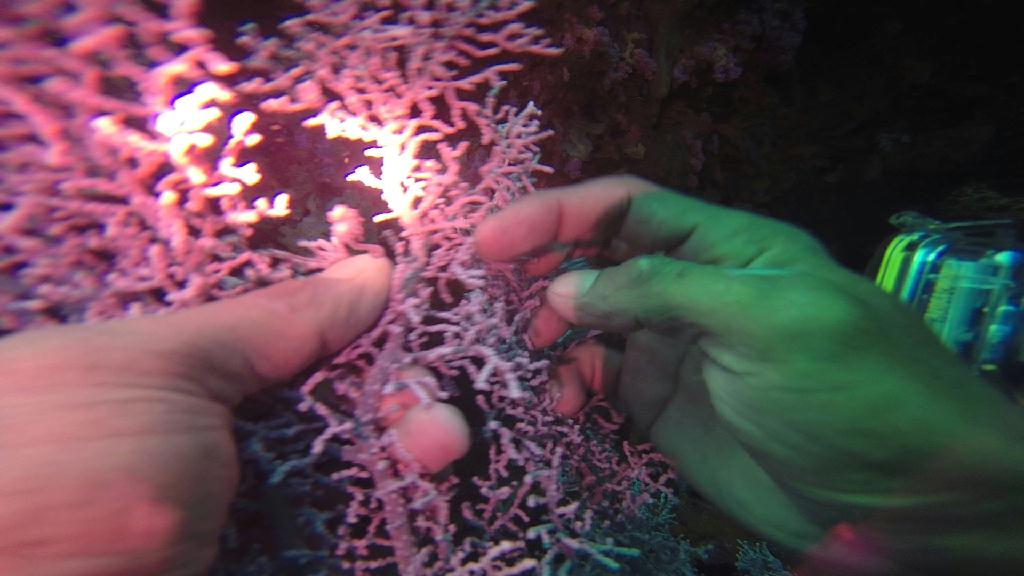 mindoro - beside canyons