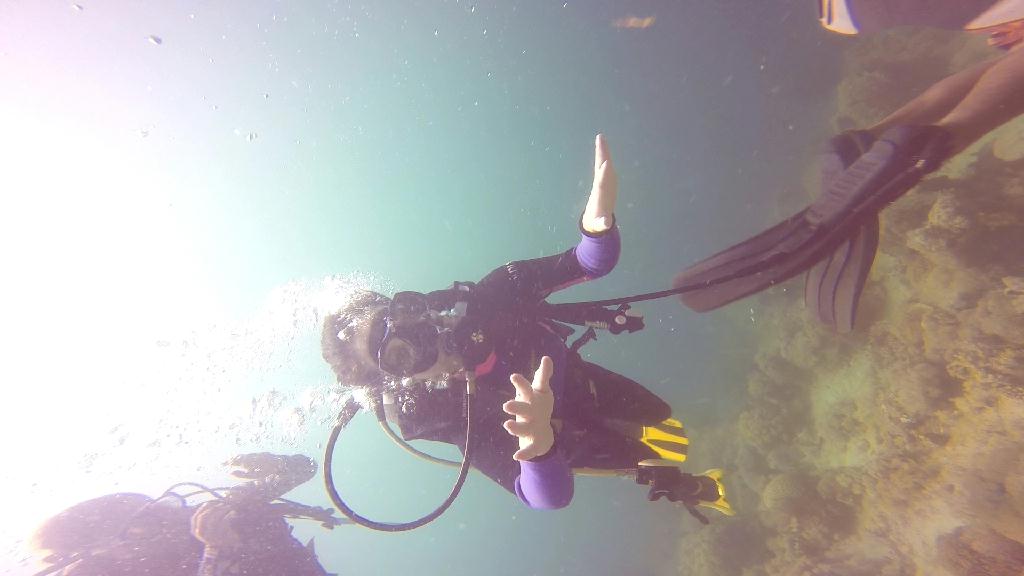 mindoro - monkey beach