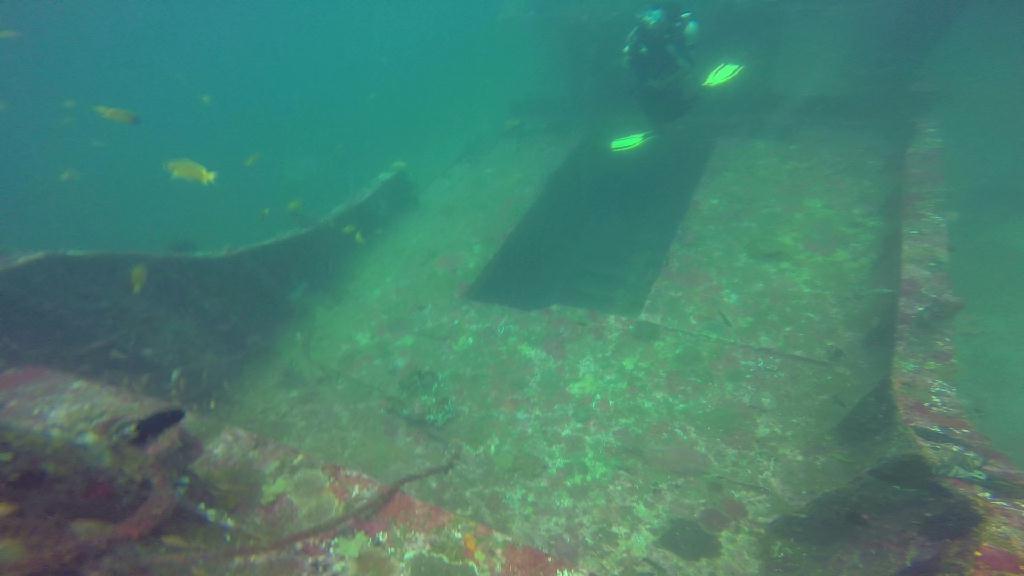 mindoro - alma jane