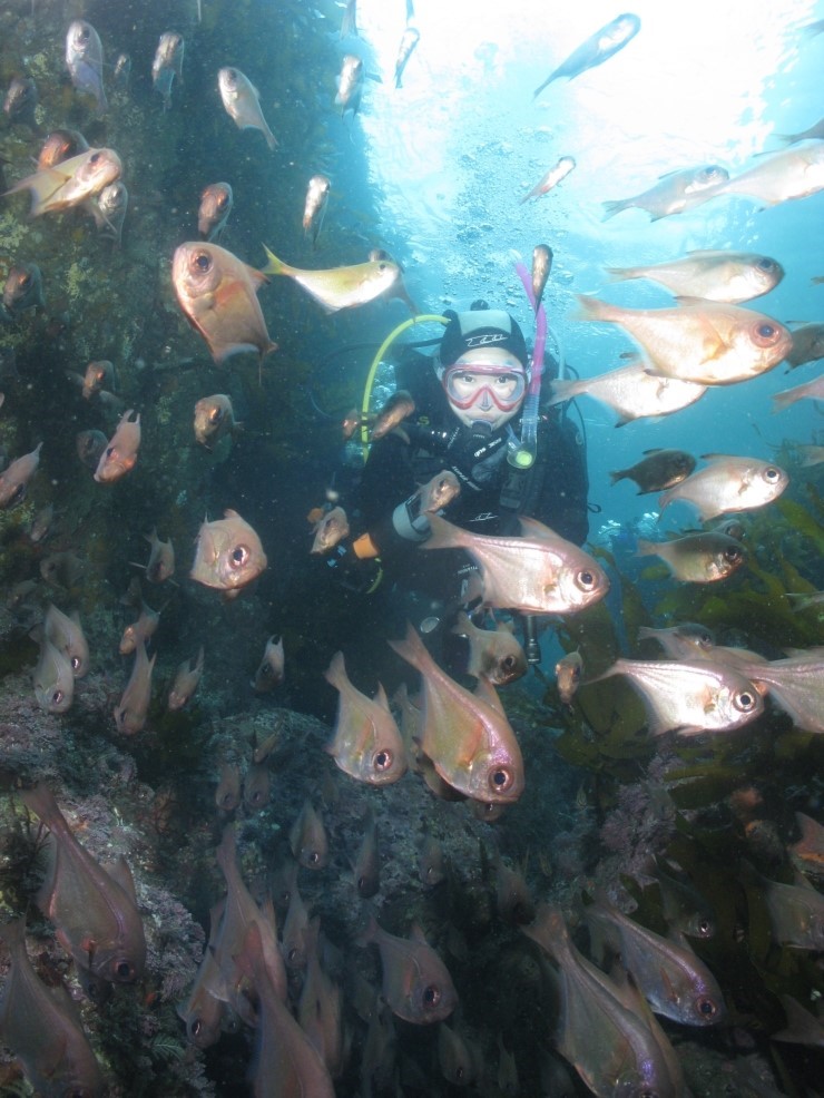 펀다이빙 - 제주도 굿다이버 - 범섬