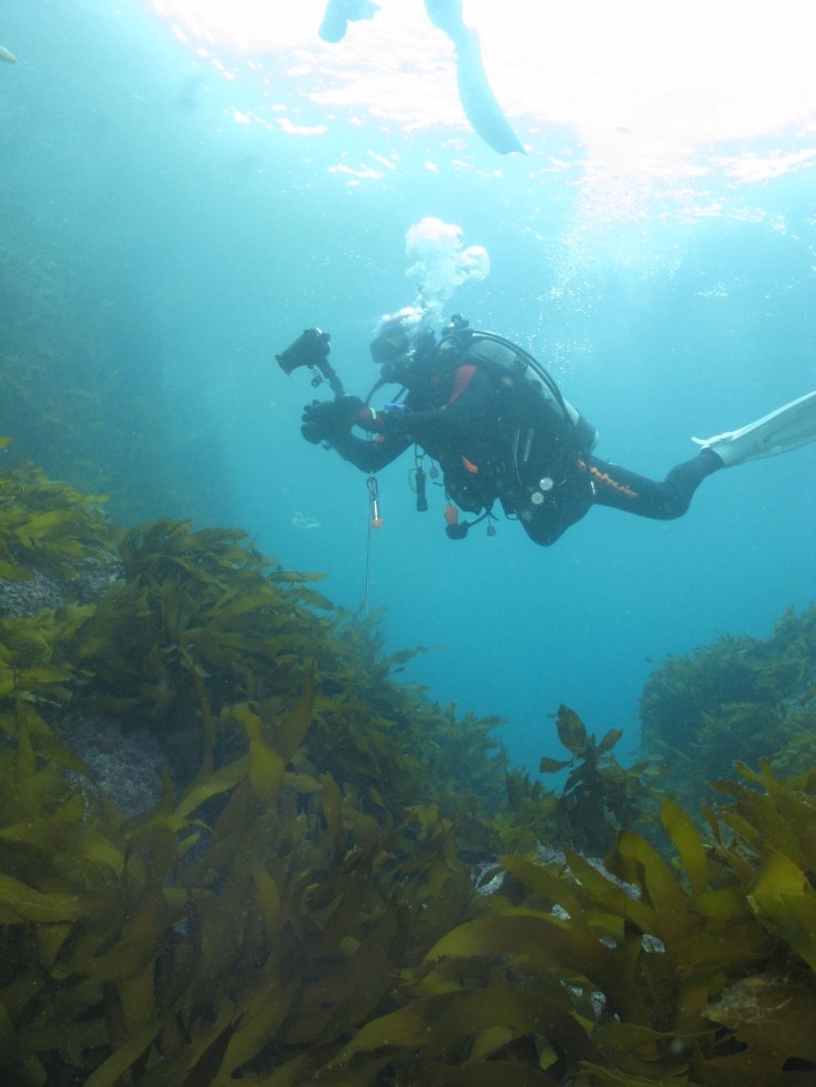 펀다이빙 - 제주도 굿다이버 - 범섬
