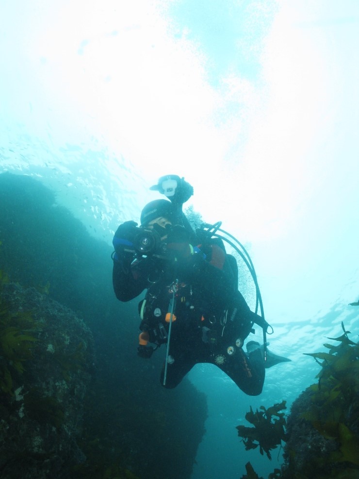 펀다이빙 - 제주도 굿다이버 - 범섬