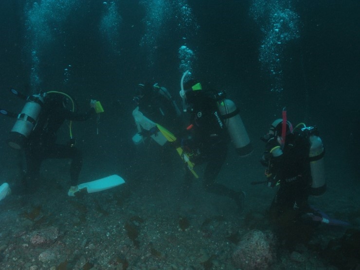 펀다이빙 - 제주도 굿다이버 - 범섬