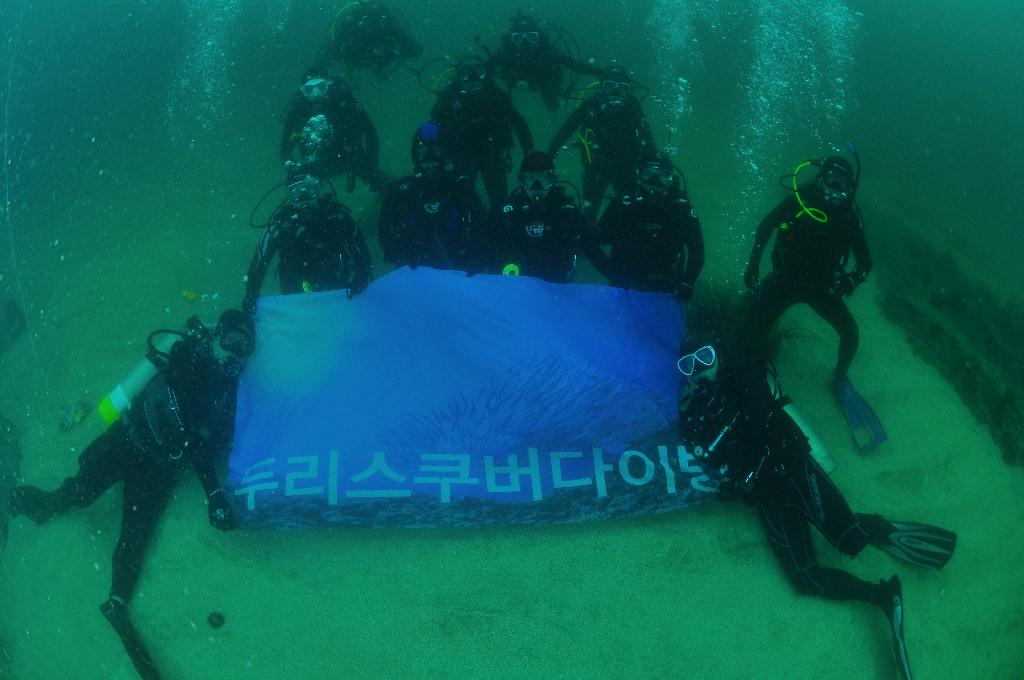 포항 청진 카페마린앤다이브 11 - 반구형 어초