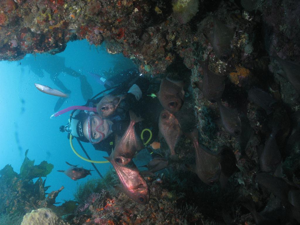 펀다이빙 - 제주도 굿다이버 - 문섬 새끼섬