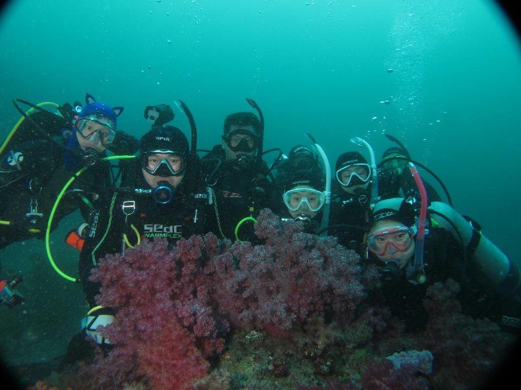 펀다이빙 - 제주도 굿다이버 - 문섬 새끼섬