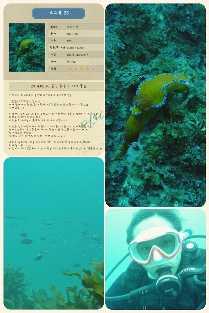 제주도 금능마린 수중산책 - 아톰포인트