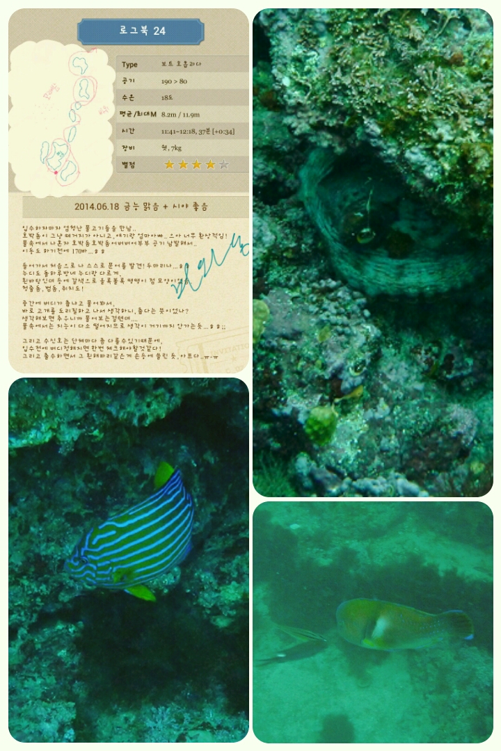 제주도 금능마린 수중산책 - 호흡과다 유발지역