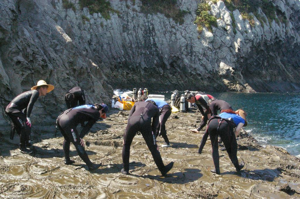 범섬 다이빙, 6물 - 제주도 서귀포 - 범섬
