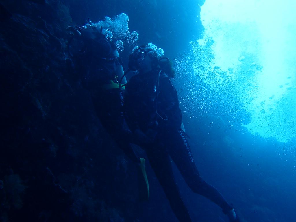 첫 펀다이빙♥ - 팔라우 - siaes corner