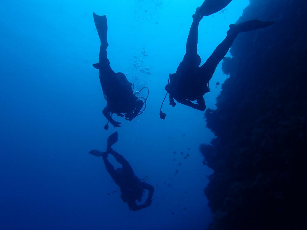 첫 펀다이빙♥ - 팔라우 - siaes corner