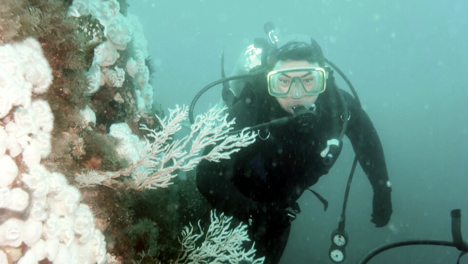 강원도 고성 LF문암 리조트 - 금강산 포인트