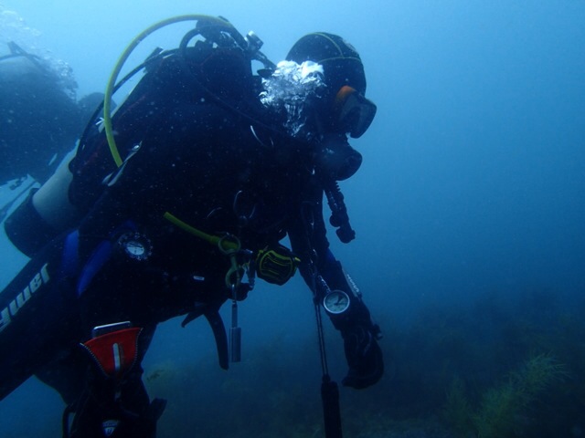 Fun Diving - 강원도 고성 청간정리조트 - 노랑대