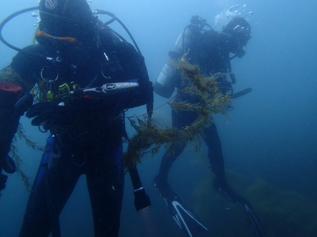 Fun diving - 강원도 고성 청간정 리조트 - 모름 