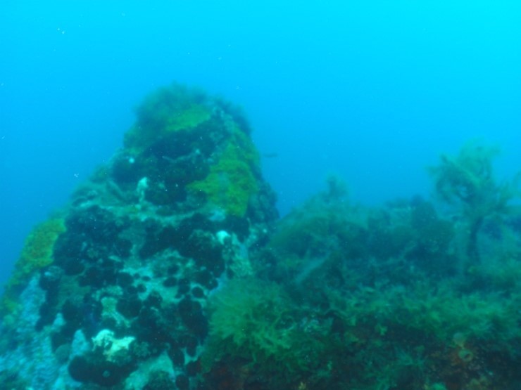 펀다이빙 - 강원도 고성 LF문암리조트 - 금강산