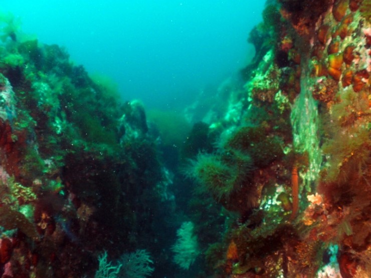 펀다이빙 - 강원도 고성 LF문암리조트 - 금강산