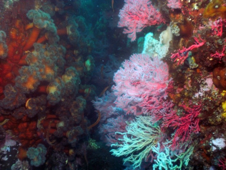 펀다이빙 - 강원도 고성 LF문암리조트 - 마이산