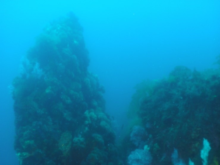 펀다이빙 - 강원도 고성 LF문암리조트 - 마이산