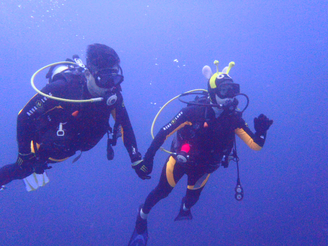 aow #3 - easy dive resort - 올랑고 탈리마(talima)