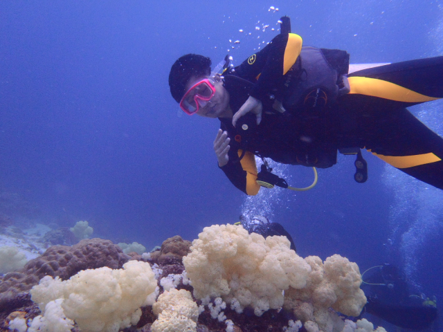 aow #3 - easy dive resort - 올랑고 탈리마(talima)