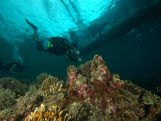 펀다이빙 - 준다이브 - 튜브레(TUBLE)