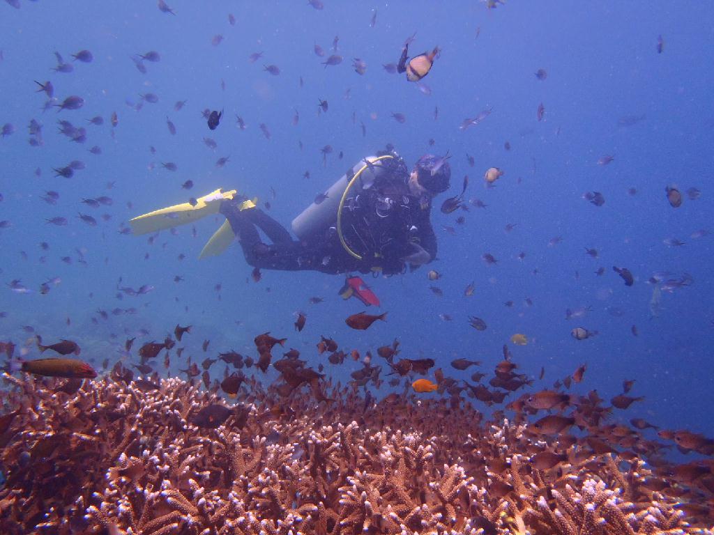 펀다이빙 - 이지다이브 리조트 - 힐룽뚜안