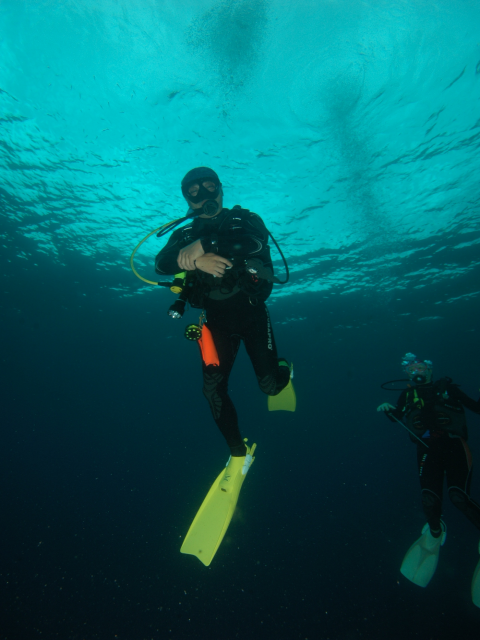 펀다이빙 - 준다이브 - 튜브레(TUBLE)